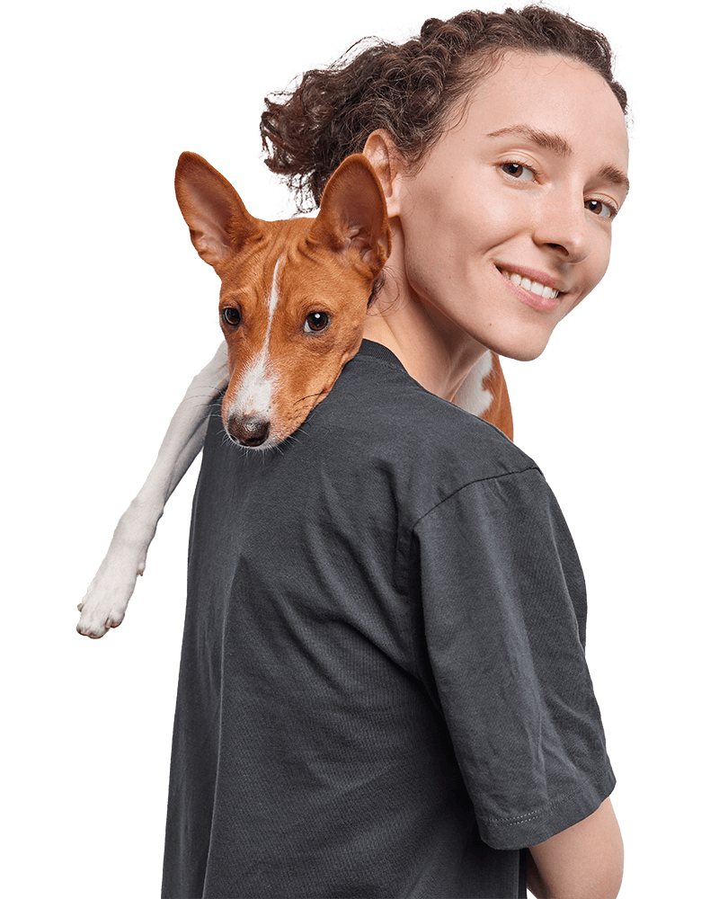 woman carries dog shoulder plays with favorite pet expresses love care stands sideways isolated white 2